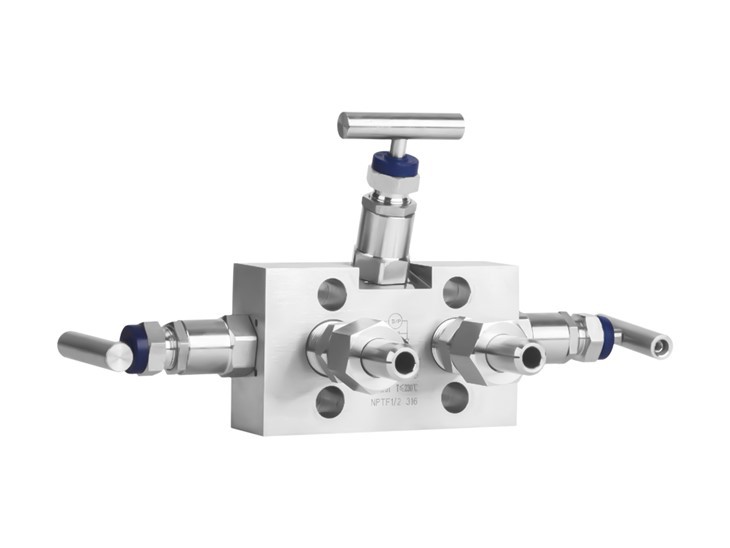 FZ30 मैनिफोल्ड